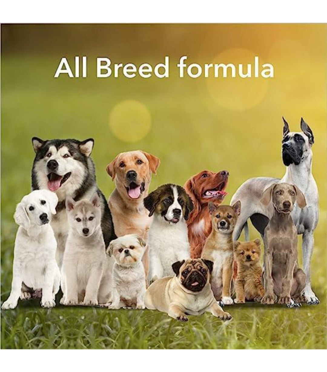 Chicken Munchy Dog Treats β Tasty Crunch, Healthy Bite